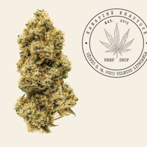 Pluoštinės kanapės žiedai "Orangello" 1g.